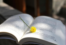 抖音读书文案模板,读书文案短句干净治愈-飞鸽出海