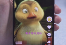怎么下载抖音里面的视频?抖音视频可以下载吗?-飞鸽出海