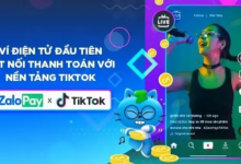 Tiktok小游戏推广入口怎么找?tiktok推广下载挣佣金-飞鸽出海