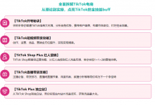 沁阳tiktok快速涨粉特训营, 2022tiktok从小白到精英实操训练营-飞鸽出海