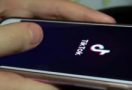 看tiktok怎么搜索福利最多哪个国家比较好看,教你使用tiktok搜索福利步骤-飞鸽出海