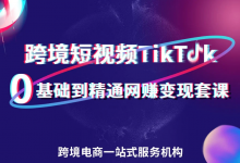 宁安Tiktok短视频航海集训营,Tiktok出海掘金课程培训-飞鸽出海