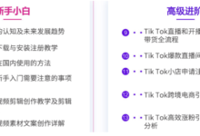 儋州市tiktok短视频制作培训速成班,手把手教你实现如何操作tiktok短视频-飞鸽出海