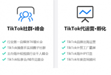 五指山市tiktok广告代运营培训,tiktok全阶运营体系课-飞鸽出海