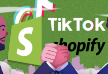 TikTok独立站是怎么推广的?tiktok独立站推广教程-飞鸽出海
