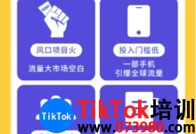 江門tiktok獲客方法課程培訓,tiktok如何引導客戶點主頁鏈接-飛鴿出海