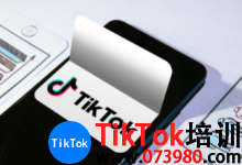 tiktok独立站和小店的区别是什么?新手能不能做tiktok独立站-飞鸽出海
