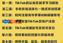 南京tiktok公会代理培训指导,南京tiktok零基础公会实操课程-飞鸽出海