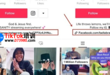 包头tiktok变现技能培训,包头完整详细tiktok变现指导课程-飞鸽出海