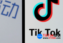 2023tiktok账号密码免费分享,让你无障碍快速登录tiktok的方法-飞鸽出海