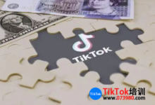 tiktok出海公会和抖音公会一样吗,tiktok出海公会的好处-飞鸽出海