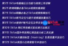 广州tiktok短视频培训哪家好,广州tiktok短视频培训详细运营课程-飞鸽出海