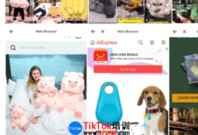 荆州tiktok无货源店群玩法培训,荆州tiktok无货源店群手把手指导-飞鸽出海