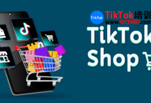 tiktok个人怎么开店,tiktok个人开店运营技巧干货-飞鸽出海