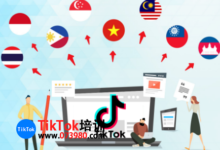 TikTok如何提高视频播放量?东南亚tiktok视频发布最佳时间-飞鸽出海