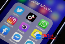 海外抖音tiktok快速涨粉技巧,让你tiktok账号月涨粉百万方法-飞鸽出海