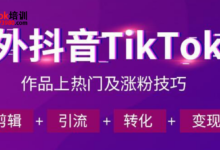 广州tiktok怎么运营变现快培训,tiktok变现模式一览-飞鸽出海