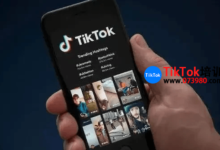 tiktok国际版验证码通过不了怎么回事?tiktok验证码无法通过解决方法-飞鸽出海
