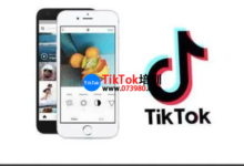 TikTok成功营销的原因,解析TikTok营销策略-飞鸽出海