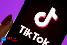 tiktok怎么看自己喜欢看的,tiktok设置自己感兴趣的视频类型方法-飞鸽出海