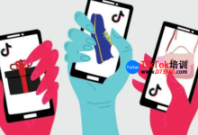 tiktok小店哪个国家好做?tiktok适合新手玩家入驻国家-飞鸽出海