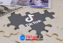 东营tiktok开店流程及费用培训(tiktok小店开店运营指导)-飞鸽出海
