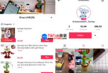 武穴tiktok无人直播技术培训,tiktok无人直播实操-飞鸽出海