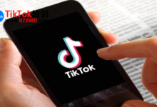 tiktok日本小店怎么开通?开通日本tiktok小店的步骤和注意事项-飞鸽出海