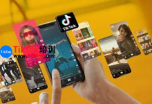 双城TikTok被限流解决方案培训,TikTok短视频限流解决办法-飞鸽出海