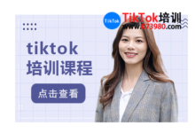 深圳tiktok变现攻略培训,手把手教你如何更好的做tiktok变现-飞鸽出海