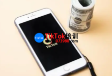 北京tiktok獲客方法,tiktok快速漲粉的方法-飛鴿出海