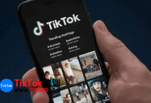 tiktok小店宠物类保证金多少?一文带你详细了解-飞鸽出海