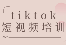 滨州tiktok短视频选题教程培训,tiktok短视频运营技巧-飞鸽出海