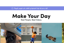 tiktok网页无需下载,tiktok网页版使用方法-飞鸽出海