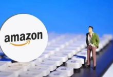 亚马逊普通卖家一年赚多少钱?亚马逊开店一年利润-飞鸽出海