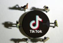tiktok东南亚用户画像分析,tiktok东南亚市场现状-飞鸽出海