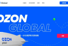 中国商家注册ozon需要什么条件？中国商家ozon注册流程-飞鸽出海