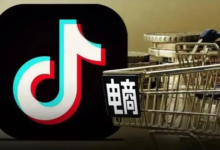 tiktok电商平台特点,tiktok电商平台中国商家入驻教程-飞鸽出海