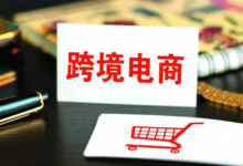 跨境电商怎么做新手入门教程,从选品到营销一站式指导-飞鸽出海