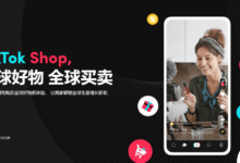 tiktok跨境电商入驻平台有哪些?这些入驻平台你不能错过-飞鸽出海