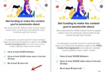 tiktok开通创作者基金详细教程,助你轻松解锁收益新途径-飞鸽出海