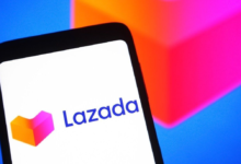 lazada个人卖家怎样入驻？入驻流程及注意事项-飞鸽出海