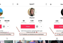 tiktok挂独立站链接条件,tiktok主页添加独立站链接步骤-飞鸽出海