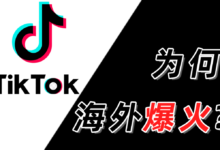为什么tiktok国内用不了?国内正常使用TikTok的方法-飞鸽出海