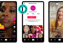 TikTok Shop东南亚电商入驻条件有哪些？如何入驻-飞鸽出海