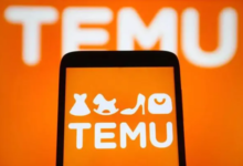 temu跨境电商怎么选品?temu容易爆单的类目-飞鸽出海