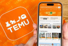 temu普通人能入驻吗?temu入驻详细教程-飞鸽出海