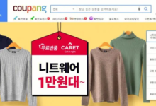 coupang真的好做吗?coupang跨境电商入驻流程-飞鸽出海