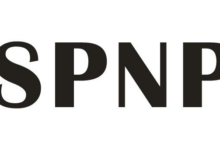 SPNP注册是什么意思?-飞鸽出海