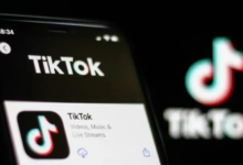 TikTok海外抖音下载及注册流程,一步一步教你搞定-飞鸽出海